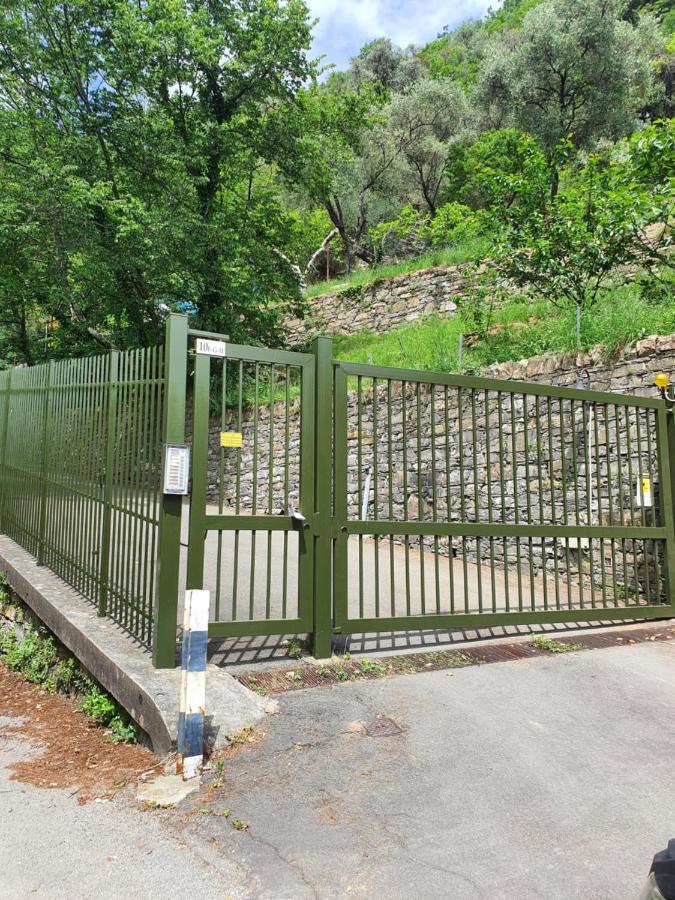 דירות ראפאלו La Terrazza Sul Golfo מראה חיצוני תמונה